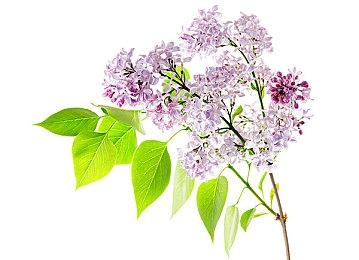 《Missile Command Delta》Steam页面 发售日待定